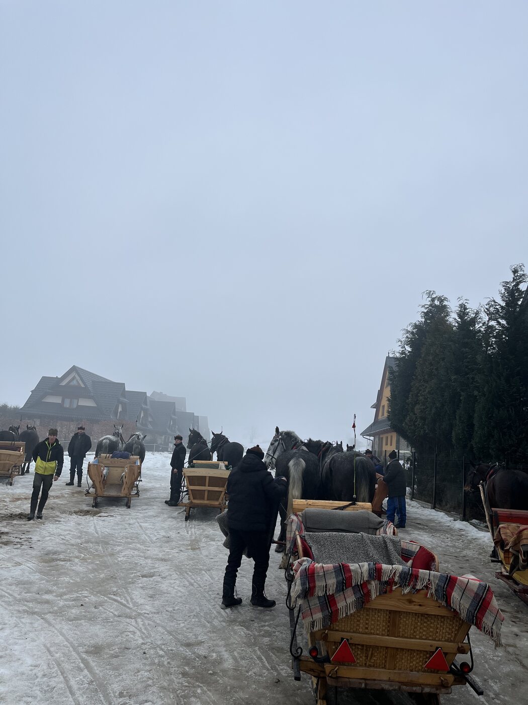 Lovasszánok a havas zakopanei tájban